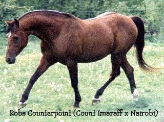 counter